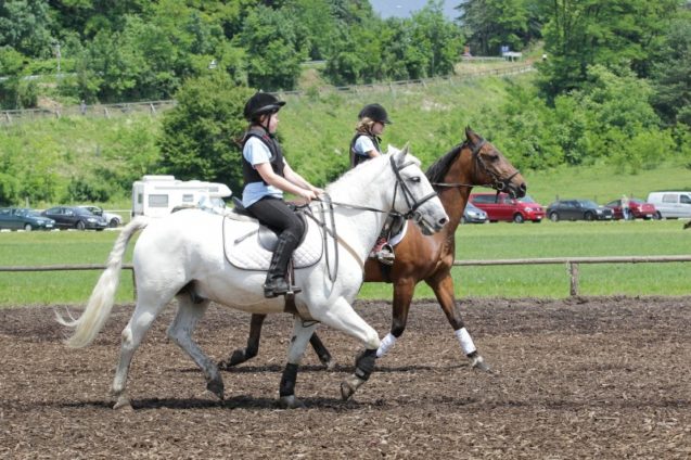 Horseback riding lessons in Bled