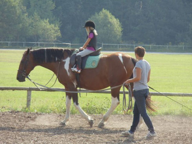 Horse workshops for children in Bled