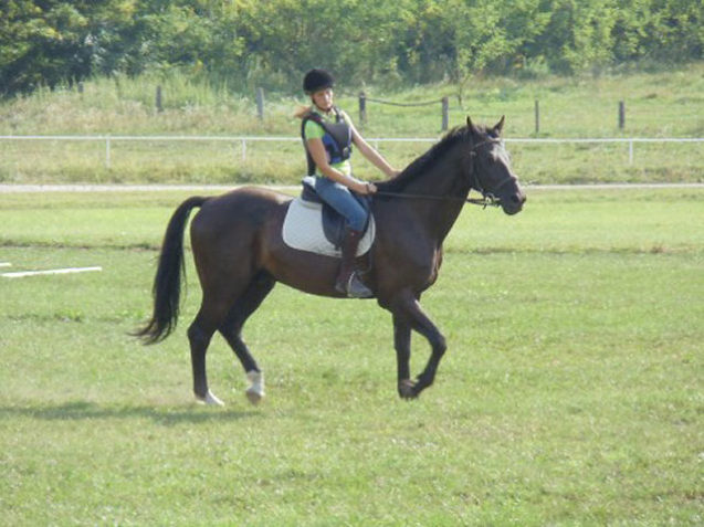 Bled horse riding