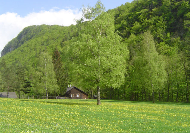 A romantic shepherd's hut in the Zavrsnica valley near Bled, Slovenia