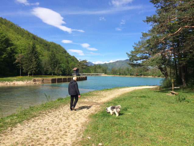 Walks around the Zavrsnica reservoir