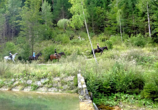 Horseback trail near the Zavrsnica stream in Zavrsnica Valley