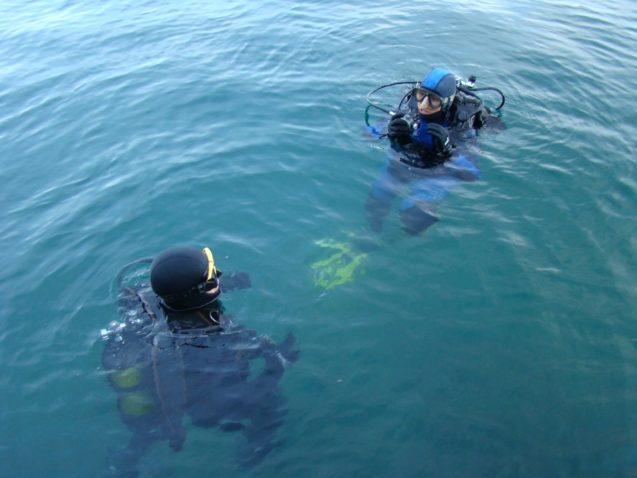 Diving in lake Bled