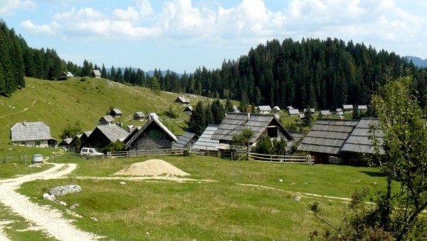 Visit And Explore The Pokljuka Plateau In Slovenia
