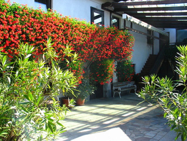 Entrance at Restaurant Trebusnik in Zirovnica