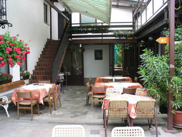 Restaurant Trebusnik terrace in Zirovnica