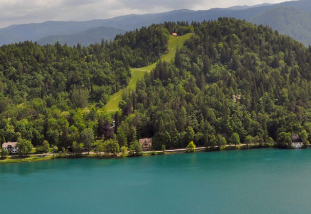 Forest on top of Straza hill above Lake Bled is the setting of the Bled Adventure Park