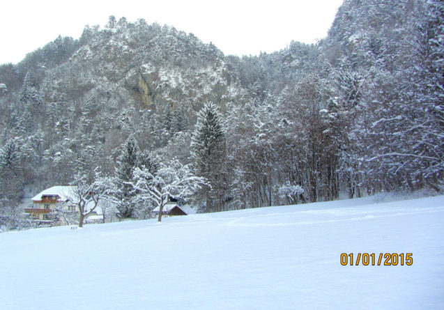 Apartment near Bled in winter with a beautiful nature all around