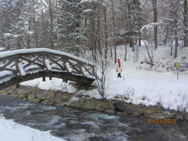 Bridge across the Zavrsnica stream in winter