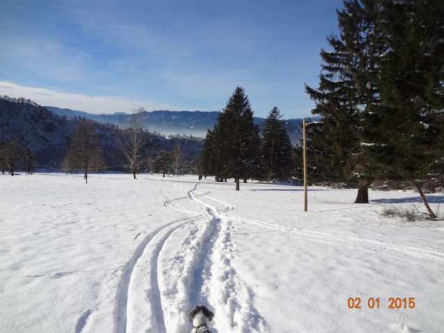 Nice walks on the snow, near Bled in Gorenjska