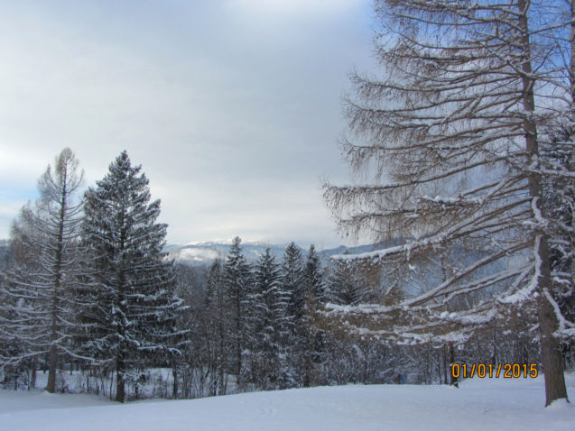 Snow covered landscape of Oberkrain, Slovenia