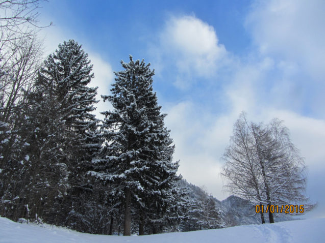 Snow covered landscape of Upper Carniola, Slovenia