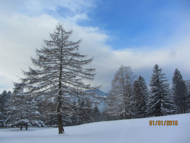 Snow in winter in Gorenjska in Slovenia