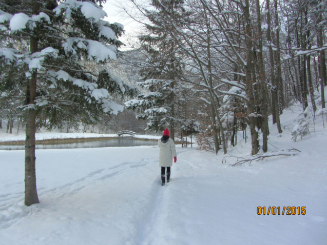 Winter wonderland in Gorenjska, Slovenia