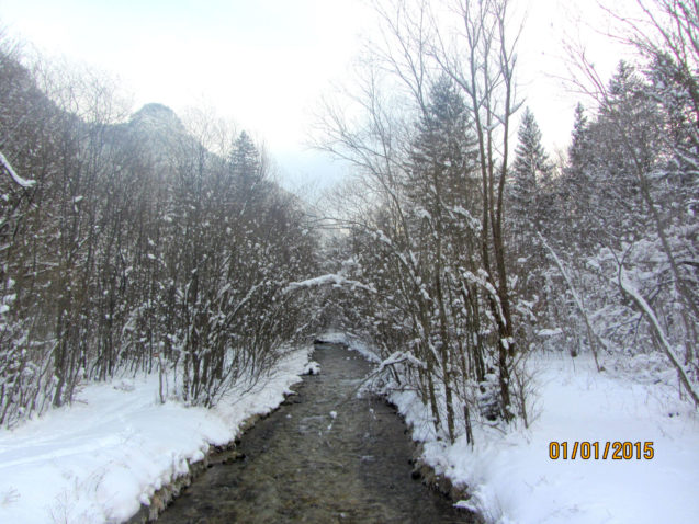 The Zavrsnica stream in winter