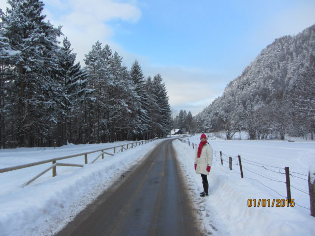 The Zavrsnica valley in winter