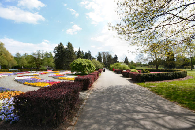 Flowers in the Europapark, Klagenfurt, Carinthia, Austria 