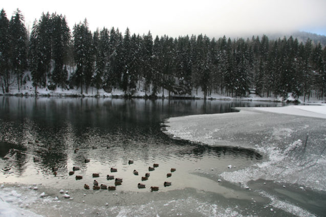 Laghi di Fusine Lakes in winter