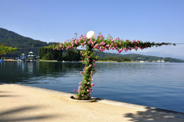 lake-woerthersee-roses-promenade-austria