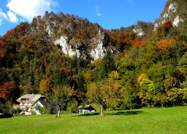 autumn-nature-slovenia-019