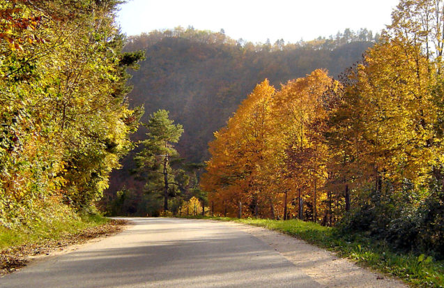 autumn-nature-slovenia-037