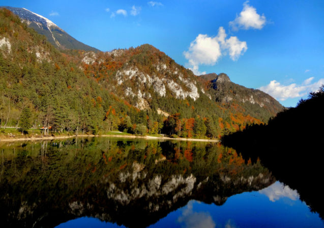 autumn-nature-slovenia-044