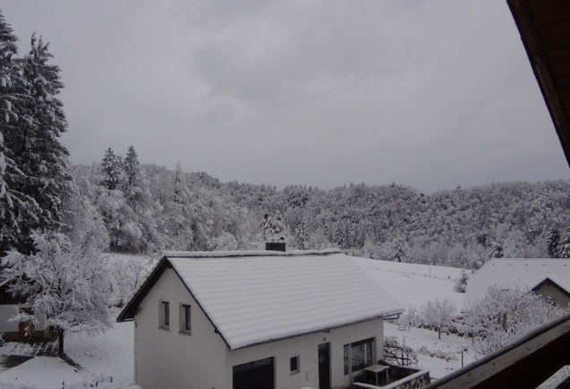 Winter view from the 1st balcony