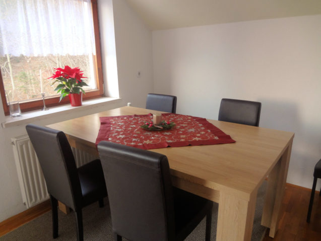 Fine Stay Apartment in Slovenia with some holiday decorations and a poinsettia
