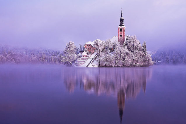 Bled Island in winter with a covering of fresh snow