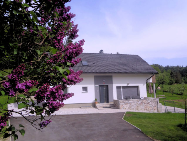 A blooming lilac tree in spring and Apartments Fine Stay in the Bled area of Slovenia