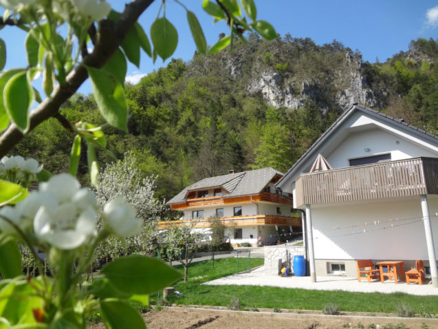 Fine Stay Apartments in Slovenia in the spring time