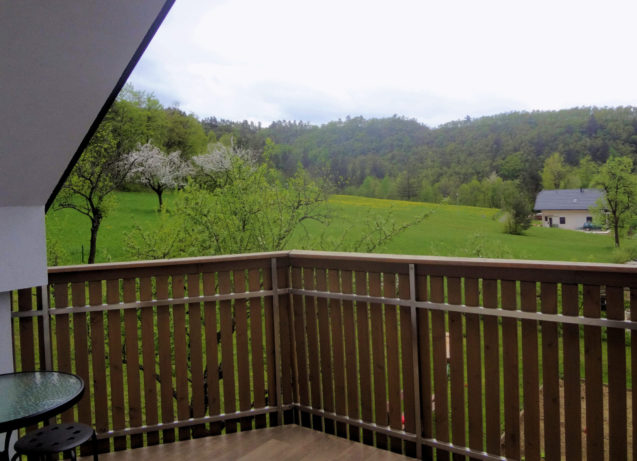 View of the meadow from the balcony of Apartments Fine Stay in Slovenia
