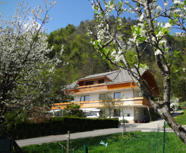 Exterior of Fine Stay Apartments and blooming fruit trees in spring
