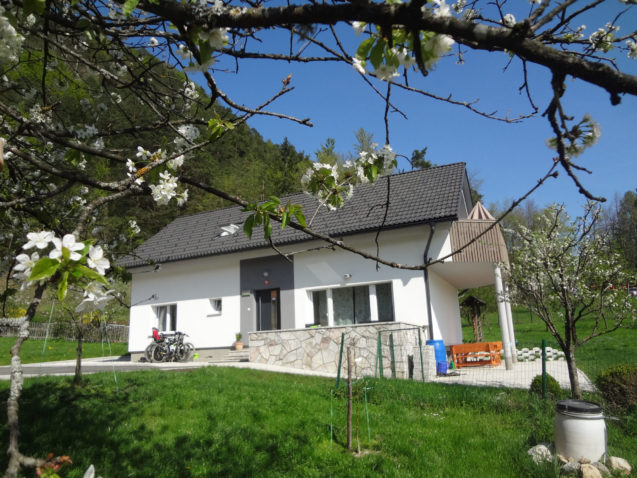 Apartments Fine Stay in Slovenia framed with cherry blossoms in spring