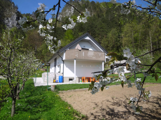 Exterior of Apartments Fine Stay in Slovenia from the garden in spring