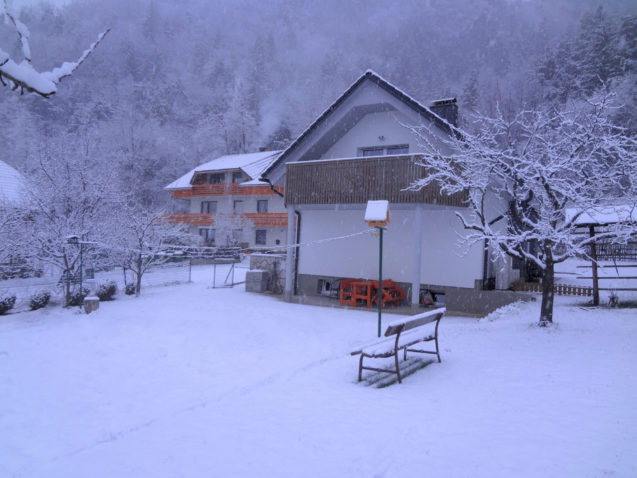 Exterior of Apartments Fine Stay from the snow covered garden in the winter