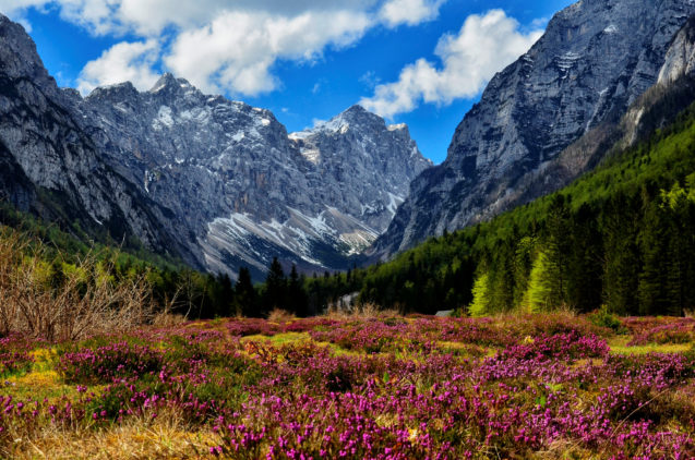 Krma Valley in Slovenia