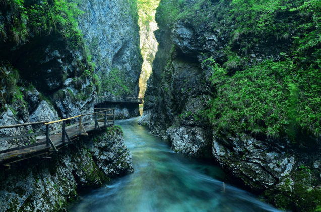 Radovna River flowing through Vintgar Gorge near Lake Bled in Slovenia