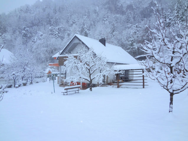 Exterior of Fine Stay Apartments in winter