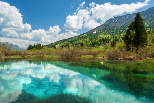 Zelenci Nature Reserve in Slovenia