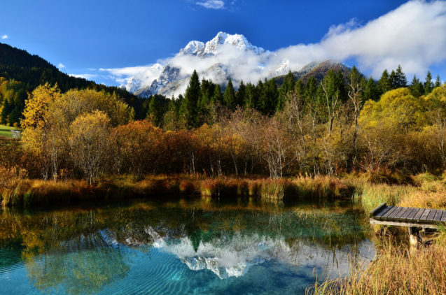 Nature Reserve Zelenci with a brilliant jade green lake in autumn