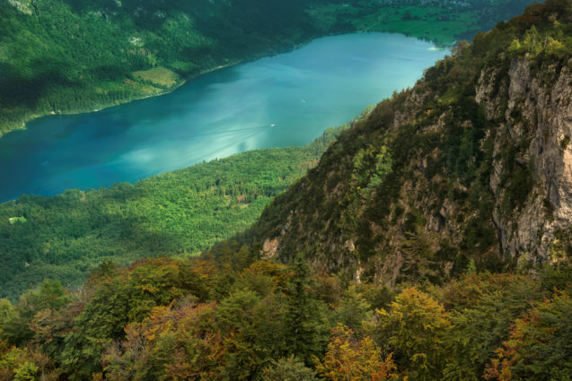 An aerial view of Lake Bohinj from the Vogel cable car