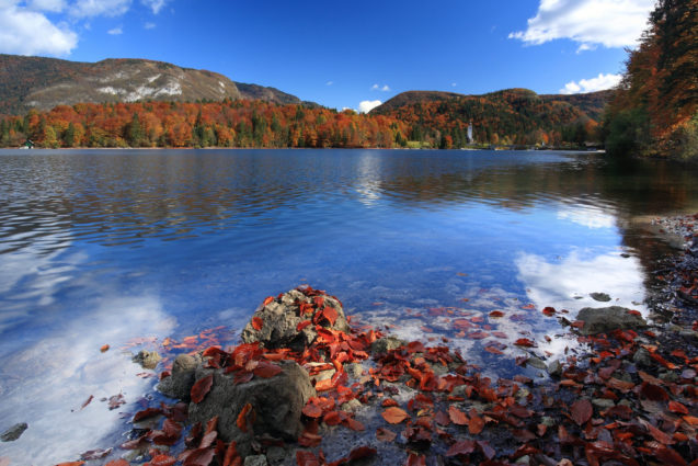 View of Lake Bohinj in Slovenia in autumn