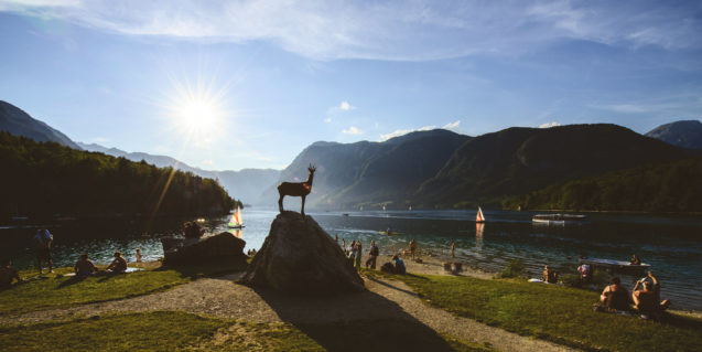 A goldhorn statue at Lake Bohinj in summer