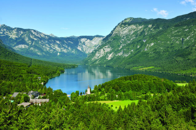 View of Lake Bohinj in Slovenia in summer