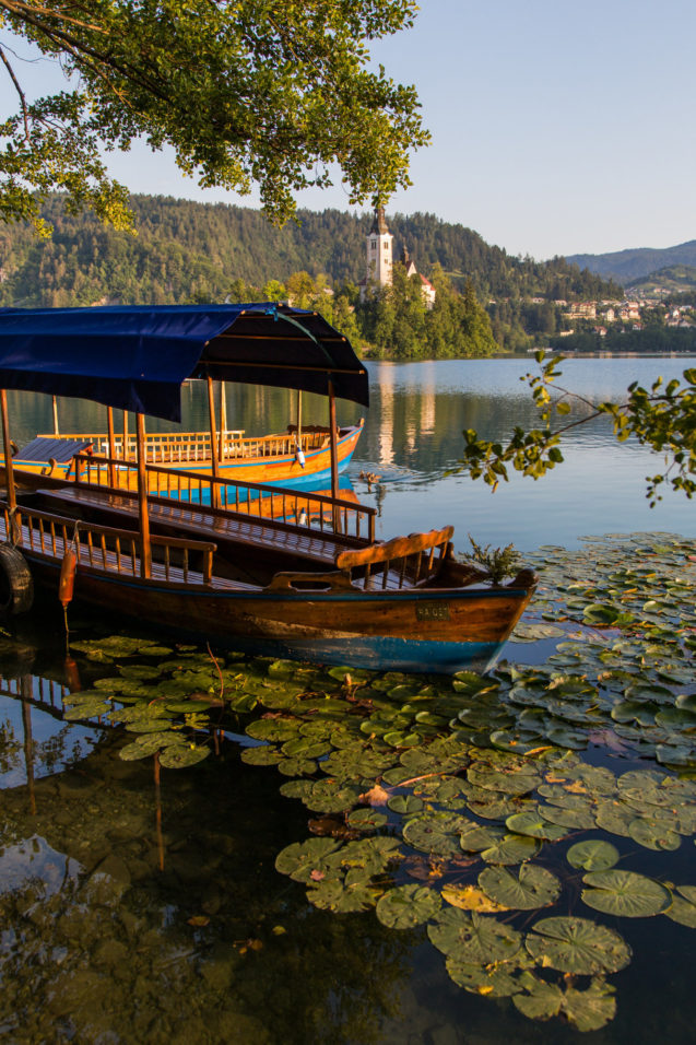 Traditional Pletna boats at Lake Bled in Slovenia with Bled Island in the background