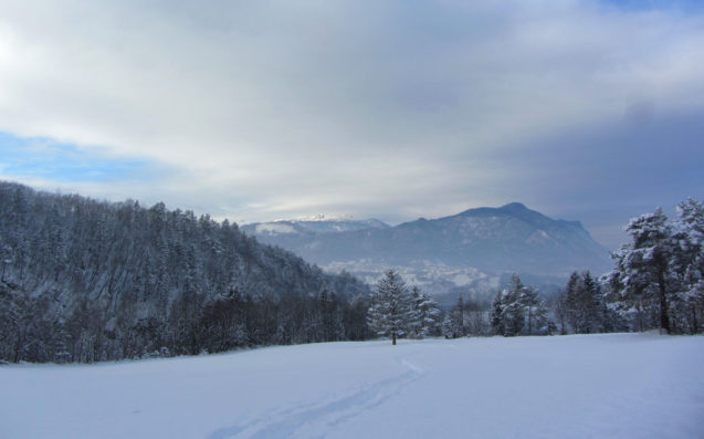 Snow covered landscape of Zavrsnica Valley in Slovenia