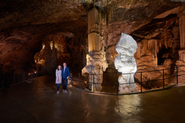 Brilliant Stalagmite inside Postojna Cave in Slovenia