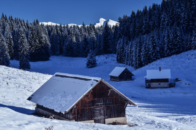 Shepherds huts in Kranjska Dolina at Pokljuka Plateau in winter