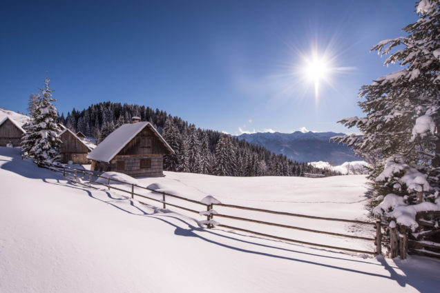 A beautiful winter day at Pokljuka Plateau blanketed with snow